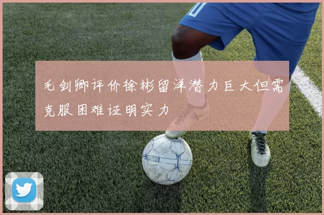 毛剑卿评价徐彬留洋潜力巨大但需克服困难证明实力